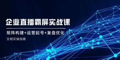 企业直播霸屏实战课：矩阵构建+运营起号+复盘优化，全程实操指南 -第16张图片