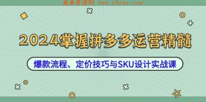 2024掌握拼多多运营精髓：爆款流程、定价技巧与SKU设计实战课 -第16张图片