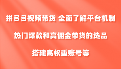 拼多多视频带货 全面了解平台机制、热门爆款和高佣金带货的选品，搭建高权重账号等 -第16张图片